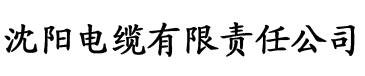 新视觉电影网电缆厂logo